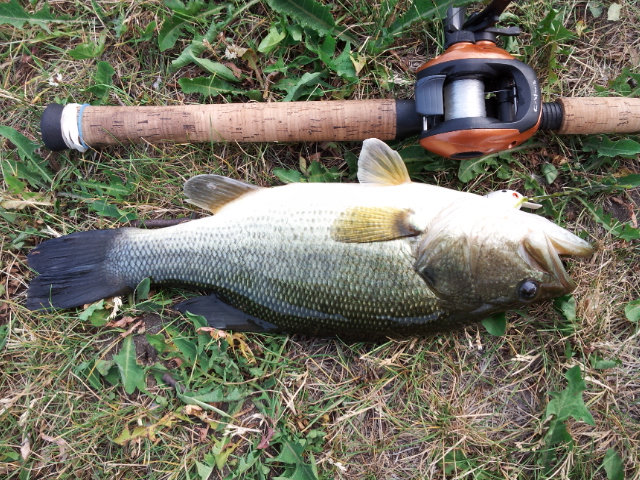 20160620_174124.jpg