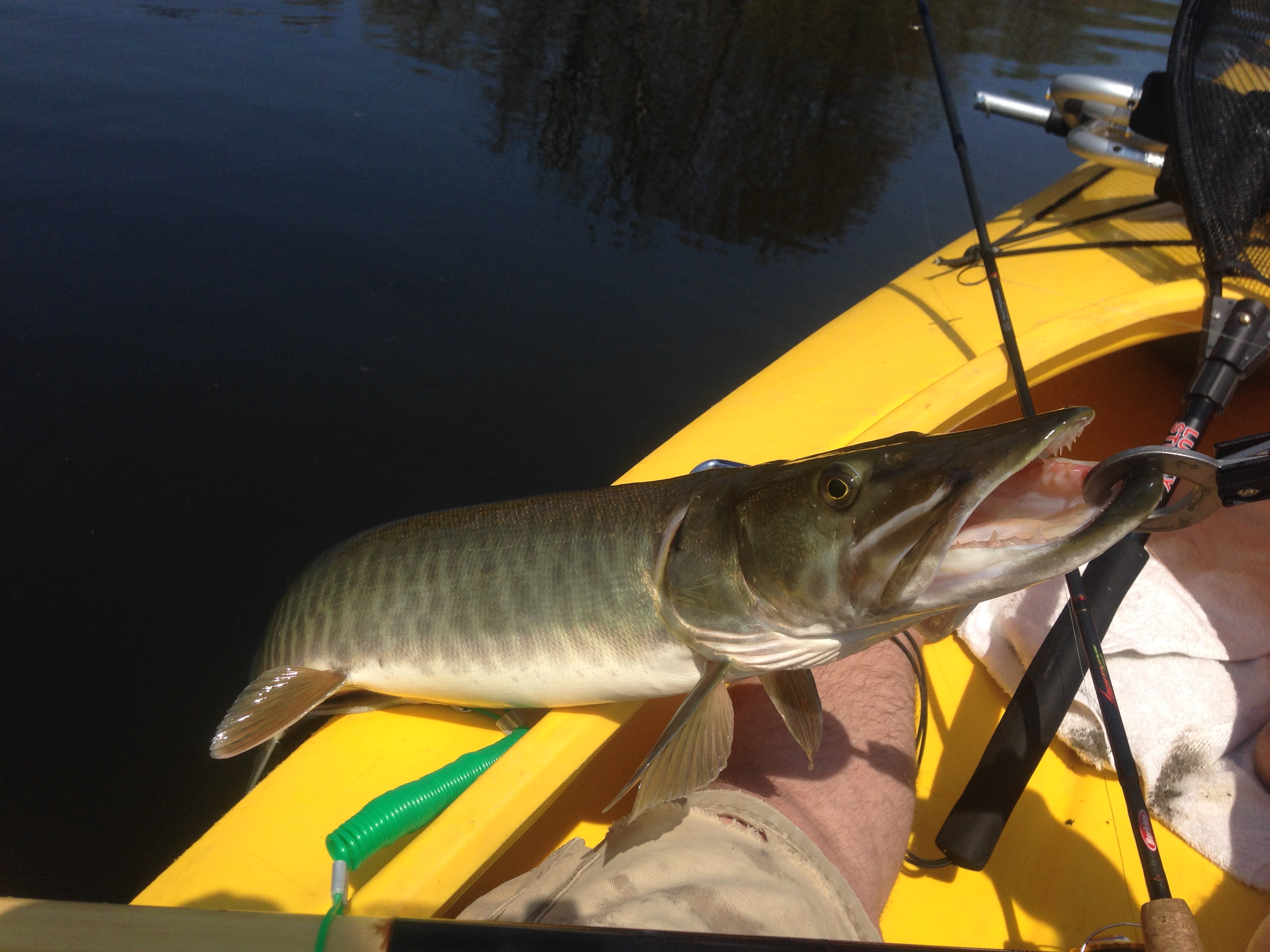 Kayak Musky.JPG