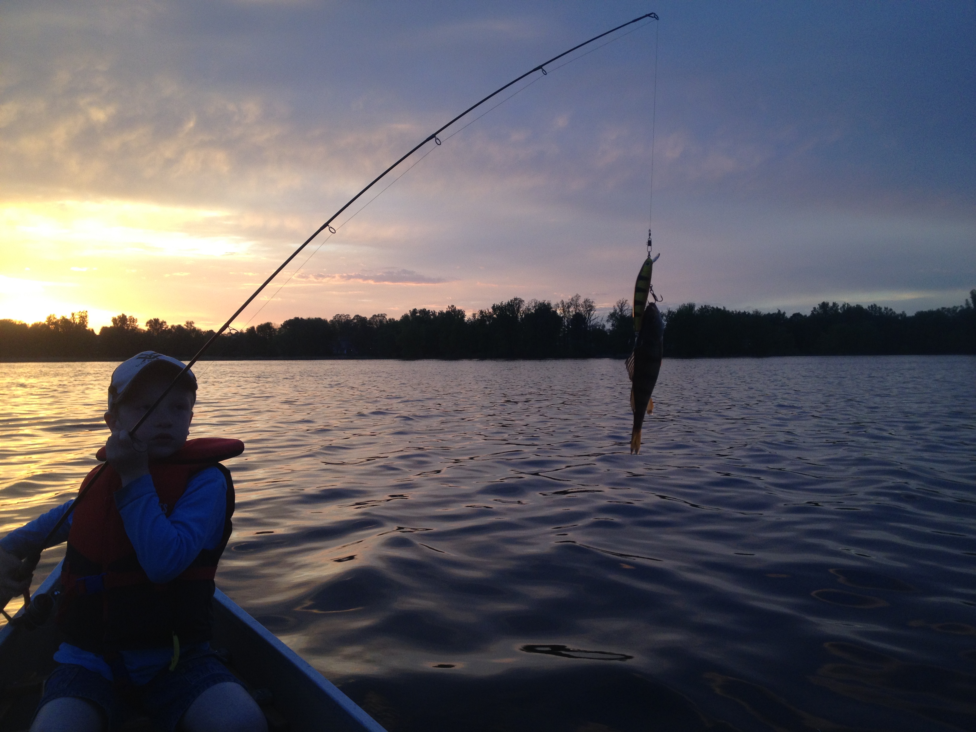 1st fish Perch on a perch